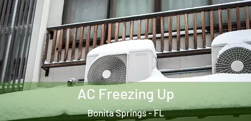  AC Freezing Up Bonita Springs - FL