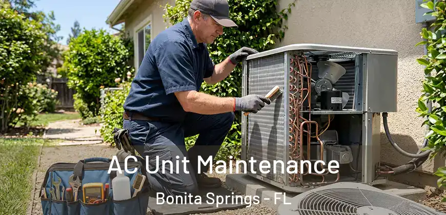  AC Unit Maintenance Bonita Springs - FL